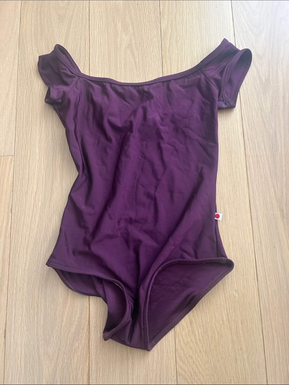Yumiko aubergine wendy leotard